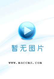 虎胆追凶国语